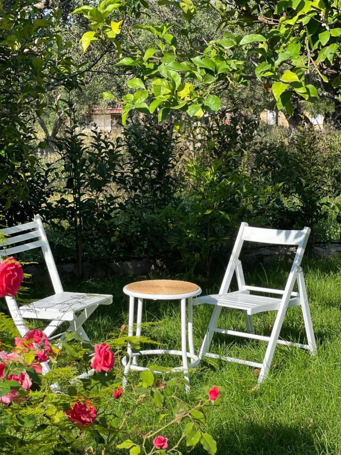 Appartement Korithis *