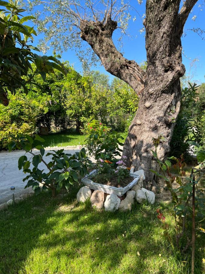 Appartement Korithis